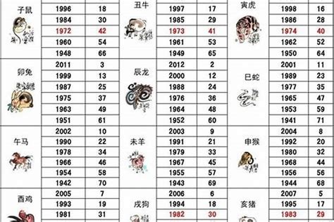 2002年生肖五行|2002年属什么生肖 2002年属什么的生肖